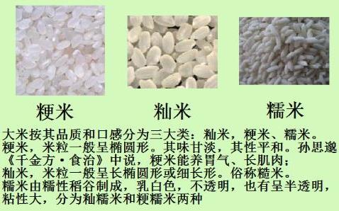 如何鉴别糯米中掺有大米？糯米和大米的区别