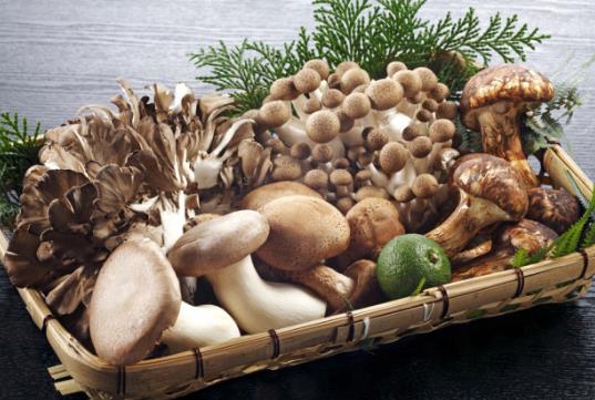 新鲜蘑菇怎么保存？鲜蘑菇的保存方法