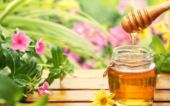 教你5招辨别优质蜂蜜