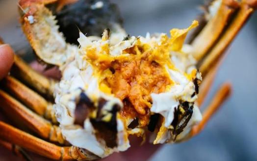 吃螃蟹时候要注意的“六不” 螃蟹不能吃的部位