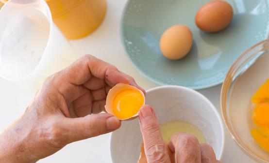 土鸡蛋未必就更有营养 关于土鸡蛋你该知道的知识
