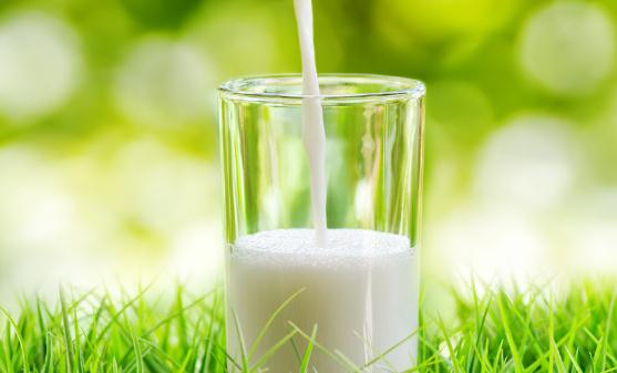 饮用牛奶当中的十中误区 方法不对牛奶也会变得没营养