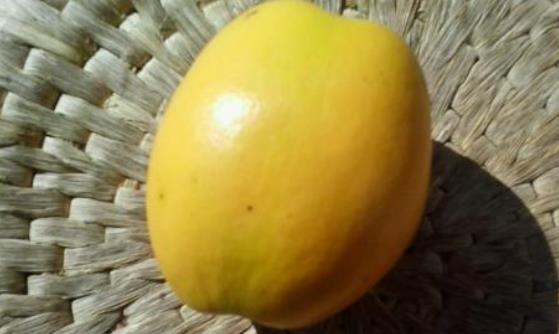宣木瓜丰胸保健健脾消食 宣木瓜的4种食用方法