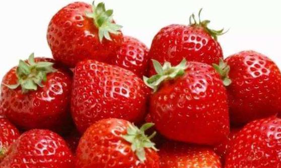 草莓的功效与作用 草莓的美味做法